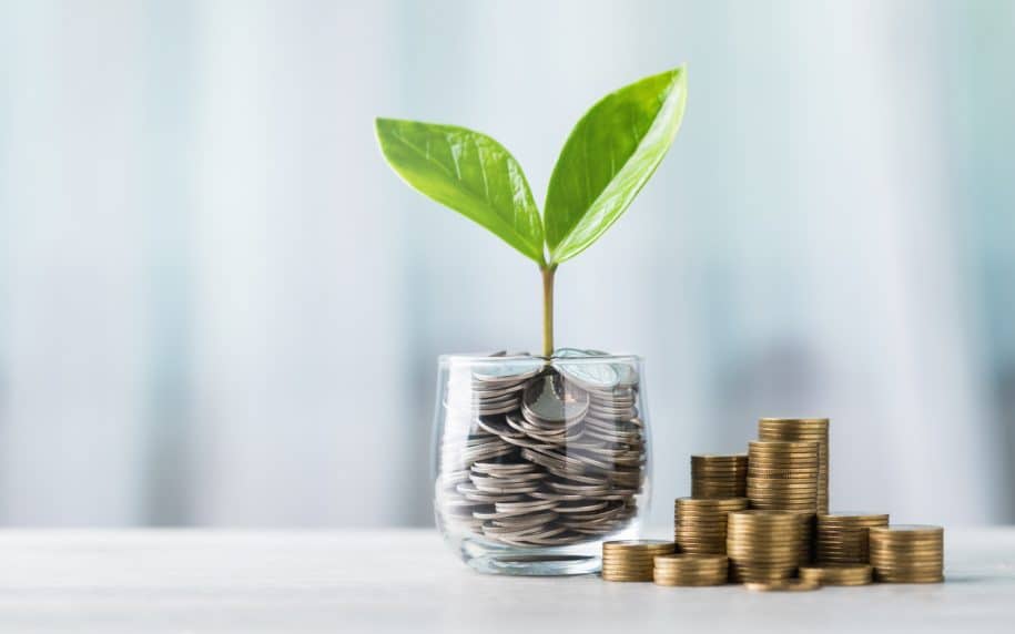 Maximizing Impact with Low-Cost Website Updates