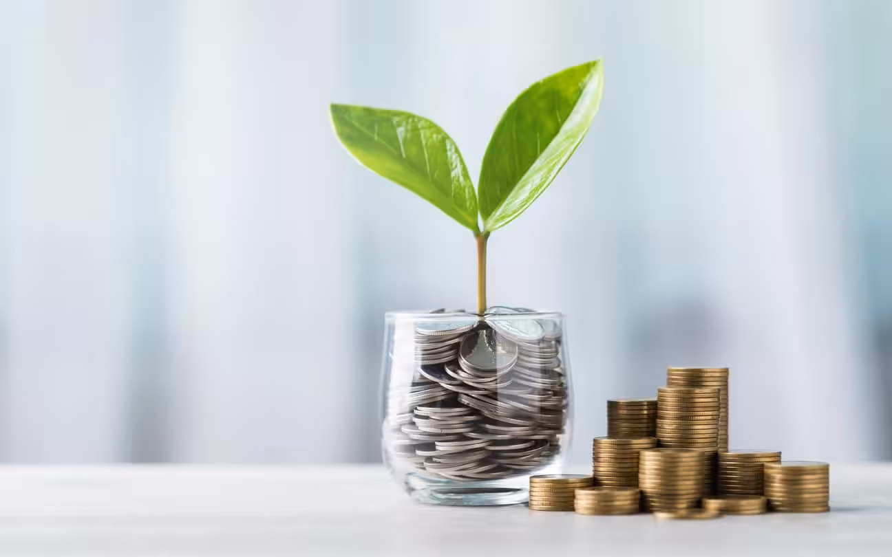 Maximizing Impact with Low-Cost Website Updates