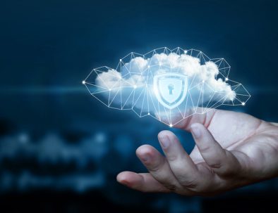 Website Protection Services