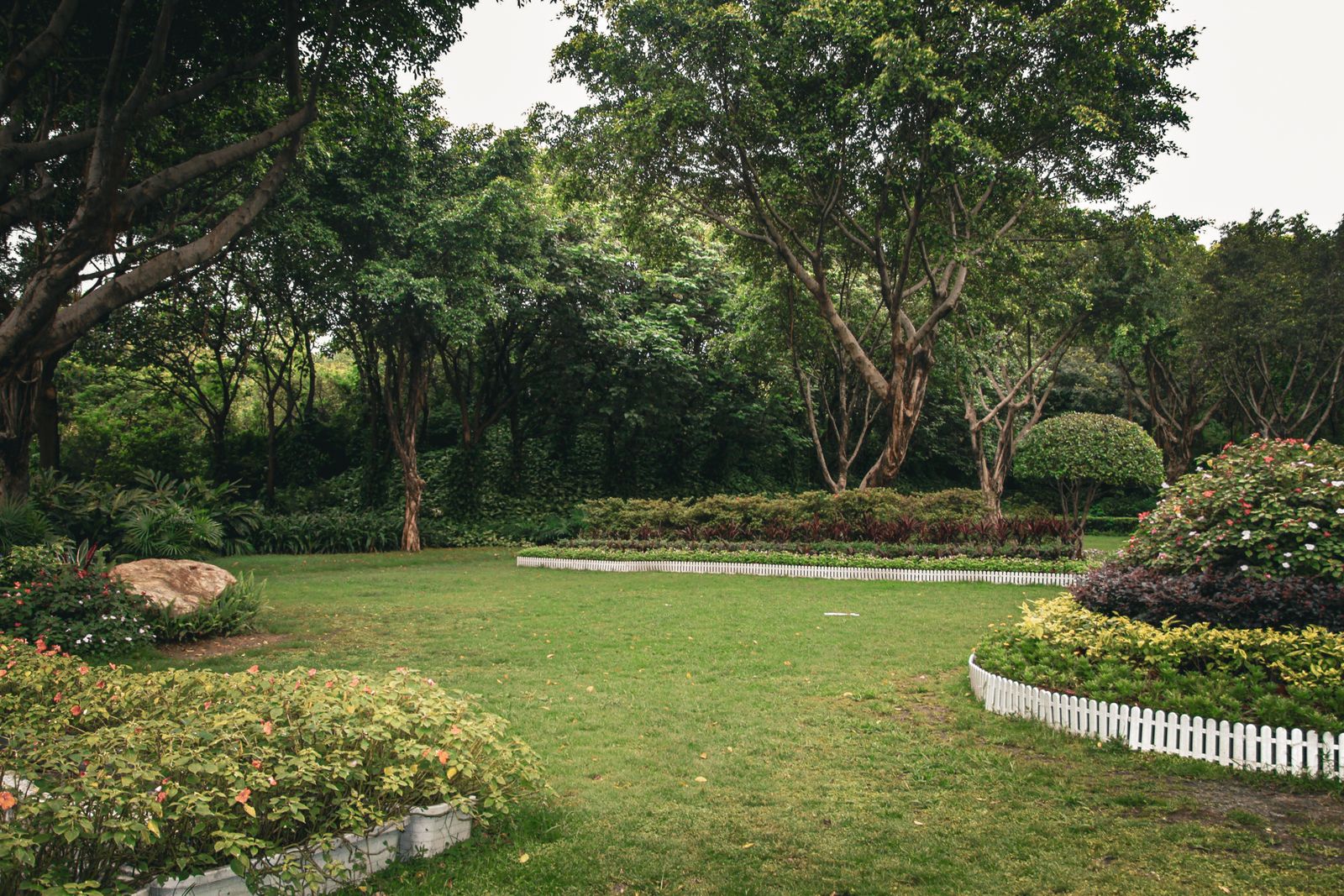 Landscaped garden with trees and manicured lawn — illustrative stock photo